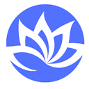 network avatar